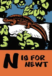 Children Prints: N is for Newt