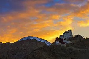 Gompa Prints: Namgyal Tsemo Gompa, main buddhist monastery centre in Leh, Ladakh, India