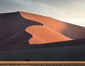 Amazing Deserts Gallery: Namib desert, Dead Vlei, Namibia, Africa. Sand dunes at sunset