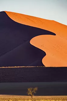 Images Dated 11th October 2017: Namib desert, Sossusvlei sand dunes, Namibia, Africa