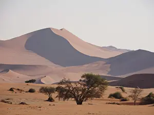 Sossosulvi Sand Dunes Prints: Namibia