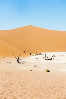Images Dated 15th October 2015: Namibia, Namib Desert, Namib Naukluft Park, Sossusvlei, Deadvlei