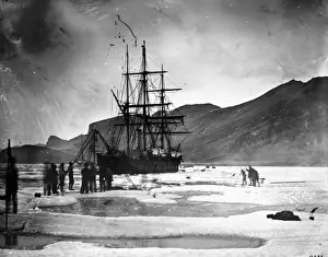 Nares Expedition