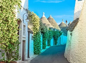 Images Dated 4th June 2015: Narrow street with trulli houses in Alberobello