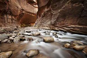 Images Dated 7th April 2011: The Narrows, constriction of the Virgin River, Zion National Park, Utah, USA