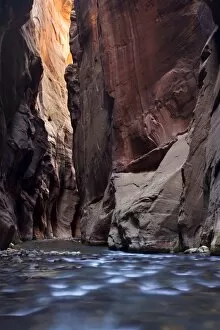Images Dated 7th April 2011: The Narrows, narrow point of the Virgin River, Zion National Park, Utah, USA, America