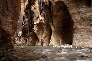 Images Dated 7th April 2011: The Narrows, narrow point of the Virgin River, Zion National Park, Utah, USA, America