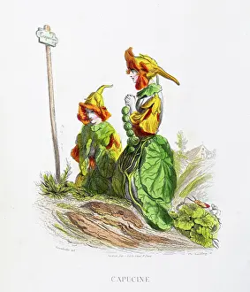 Grandville Prints: The nasturtium flower - Stunning Hand-colored plate from 'Les Fleurs Animees by J