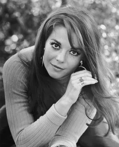 Natalie Wood 1969 Print: Vintage Portrait of the Actress. Art Prints,  Posters & Puzzles from Fine Art Storehouse