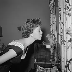 Prints of American actress Natalie Wood (1938 - 1981) pretending to kiss a parrot, US, 4th January 1956. (Photo by Graphic House/Archive Photos/Getty Images) Grace, Glamour & Timeless Elegance: Natalie Wood