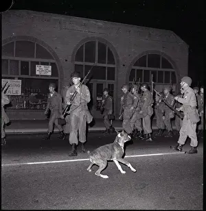 National Guard Marching near Dog