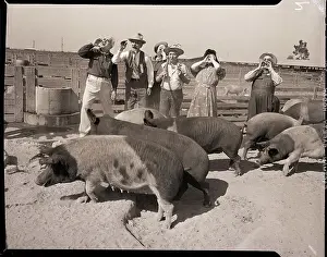 Long Beach Prints: National Hog Calling Contestants Warm Up