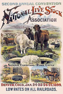 Convention Prints: National Live Stock Association Convention