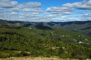 Images Dated 8th October 2013: The National Park Of Cevennes, Languedoc Roussillon, France