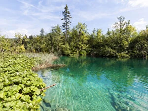 Images Dated 28th April 2016: National Park Plitvice Lakes, Croatia