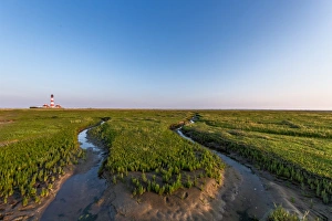 Images Dated 21st August 2015: National Park Wadden Sea Germany
