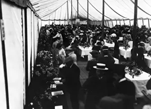 General View Prints: National Rose Show