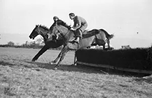 A National Winner ?