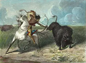 Native Am Prints: Native American Hunting Buffalo with Bow and Arrow