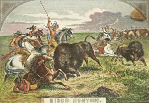 Survival Prints: Native Americans Hunting Bison