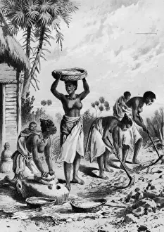 Native Farmers