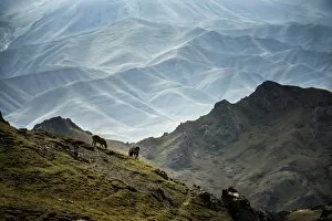 Natural Landscapes in Xinjiang