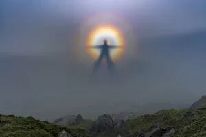 Images Dated 13th March 2014: Natural phenomena, Brocken spectre on Helm Crag. Lake District National park. UK