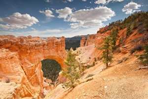 Images Dated 20th May 2015: Natural Point Bridge, Bryce