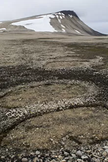 Images Dated 28th July 2015: Natural stone circles caused by cryoturbation (aka frost churning), Arctic desert habitat