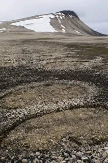 Overcast Prints: Natural stone circles caused by cryoturbation (aka frost churning)