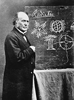 Swiss Prints: Naturalist Louis Agassiz with Diagram