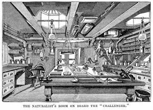 Images Dated 5th June 2011: Naturalists Room on Board HMS Challenger