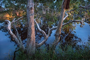 Images Dated 19th November 2014: Nature Landscape