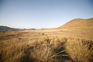 Prairie Prints: Nature reserve, semi-desert at Cabo de Gata, Andalusia, southern Spain, Europe