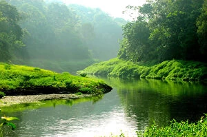 Western Ghats Collection: Nature Untouched