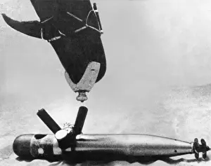 Torpedo Prints: Navy Dolphin