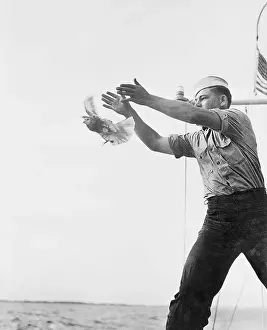 Networking Prints: Navy Man Releasing Pigeon into The Air