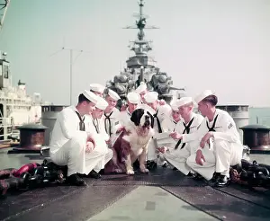 Navy Men on Deck with Dog