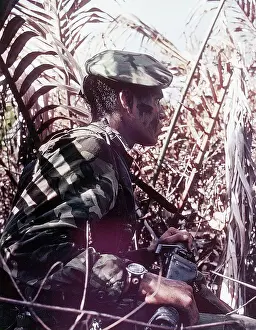 Ambush Prints: Navy SEAL in Camouflage
