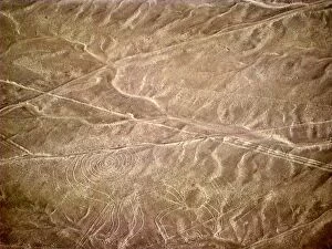 Sand Collection: Nazca lines representing monkey