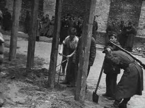 Trial Prints: Nazi Trials In Budapest