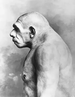 Neanderthal Man