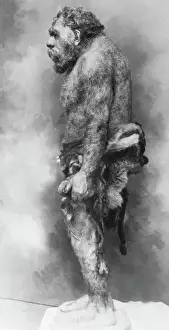 Neanderthal Man Exhibit