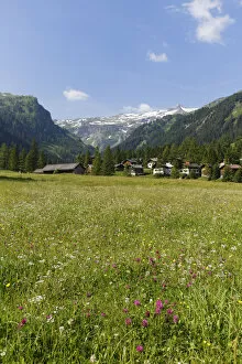Nenzinger Himmel alpine meadow, Gamperdonatal, Nenzing parish, Raetikon, Vorarlberg, Austria