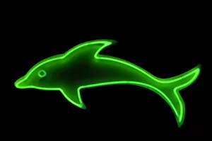 Images Dated 26th June 2006: Neon Dolphin