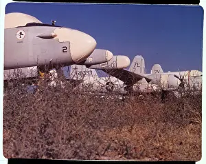 Fleet Prints: Neptune Patrol Aircraft