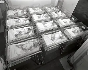 New Babies in the Hospital