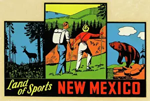 Ursus Arctos Prints: New Mexico