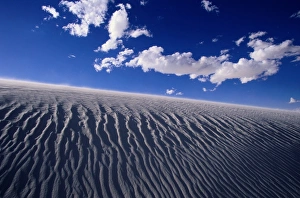 New Mexico Collection: in New Mexico, in a valley surrounded by mountains
