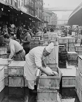 Huty29193 Prints: New York City fish market